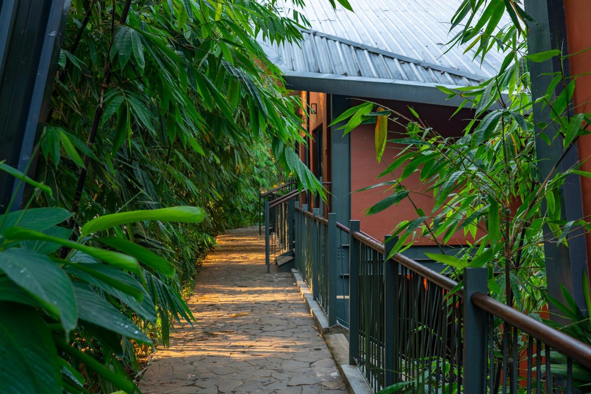 Vyna Hillock Resort And Spa ไวทีรี ภายนอก รูปภาพ